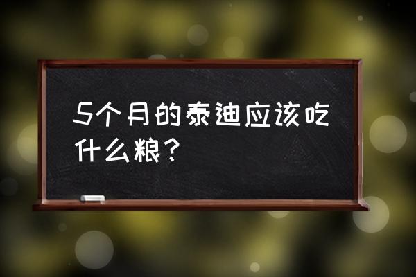 泰迪最适合吃什么食物 5个月的泰迪应该吃什么粮？