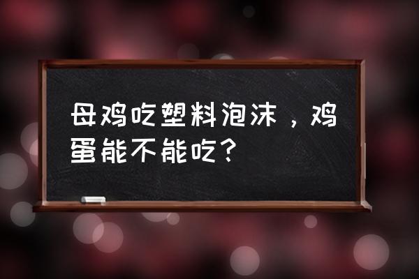 小鸡吃了泡沫要怎么解决 母鸡吃塑料泡沫，鸡蛋能不能吃？