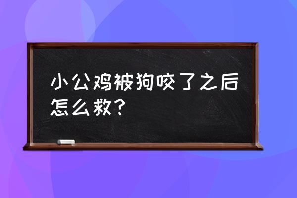 小鸡已经死了怎样救活 小公鸡被狗咬了之后怎么救？