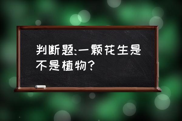 花生芽上的叶能吃吗 判断题:一颗花生是不是植物？