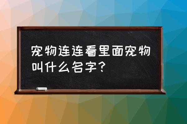 怎么样把龙猫训听话 宠物连连看里面宠物叫什么名字？