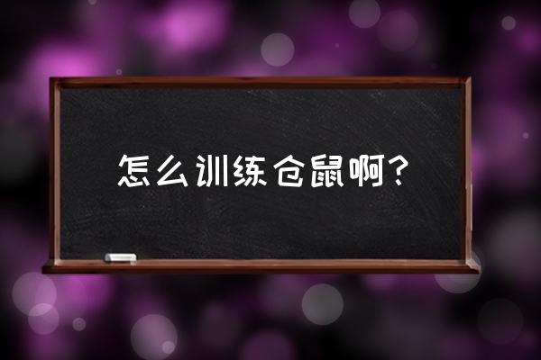 类似仓鼠的日常的游戏 怎么训练仓鼠啊？