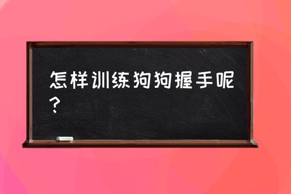 怎么让狗狗一天之内学会握手 怎样训练狗狗握手呢？