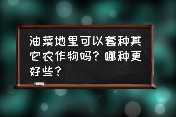 高杆青菜怎么炒的好吃 油菜地里可以套种其它农作物吗？哪种更好些？