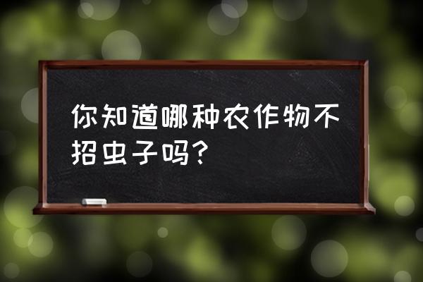 菜生虫子不用农药用什么办法驱虫 你知道哪种农作物不招虫子吗？