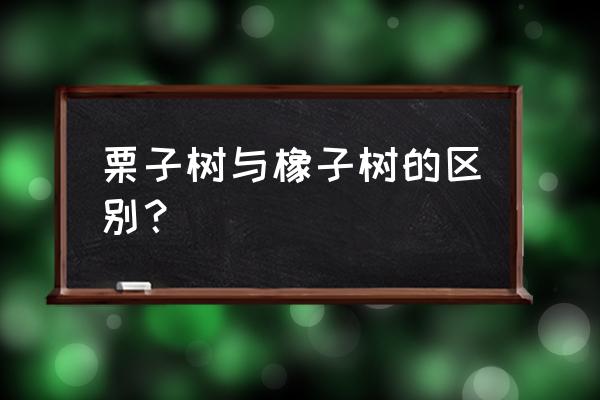 栗子是栗子树的果子还是种子 栗子树与橡子树的区别？