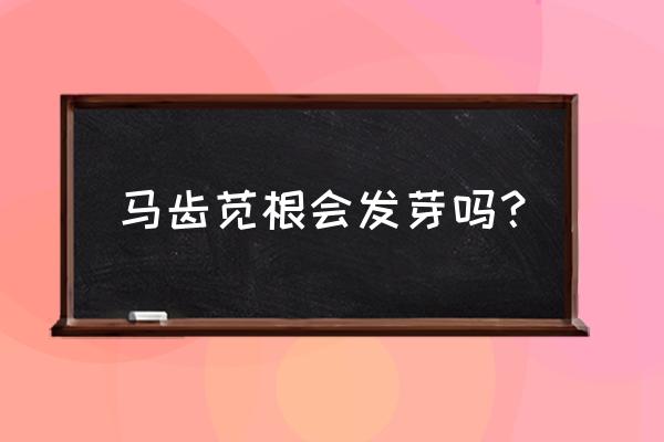 树马齿苋怎么扦插 马齿苋根会发芽吗？