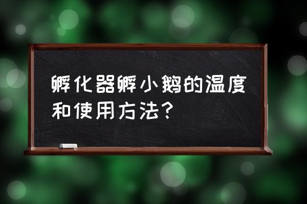 小鹅保温用什么最好 孵化器孵小鹅的温度和使用方法？