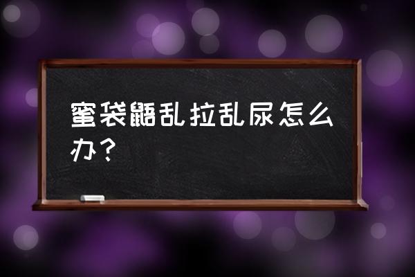 蜜袋鼯拉屎拉尿在哪里拉 蜜袋鼯乱拉乱尿怎么办？