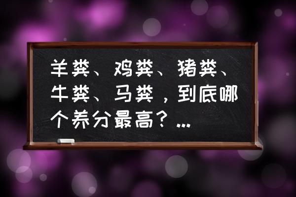 最好用的肥料是什么 羊粪、鸡粪、猪粪、牛粪、马粪，到底哪个养分最高？你都会用吗？