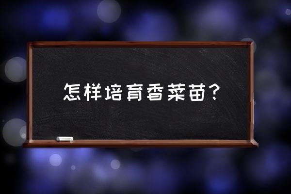 香菜冰箱催芽办法是什么 怎样培育香菜苗？