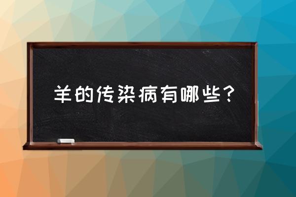 山羊羊痘会自愈吗 羊的传染病有哪些？