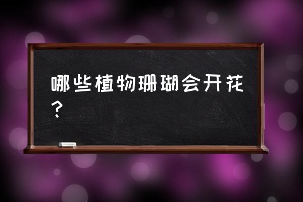 鹰爪兰一年开几次花 哪些植物珊瑚会开花？