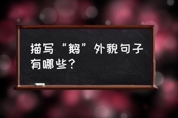 灰鹅和白鹅哪种好 描写“鹅”外貌句子有哪些？