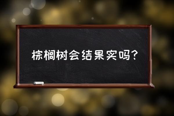 棕榈树上掉下的种子太多怎么办 棕榈树会结果实吗？