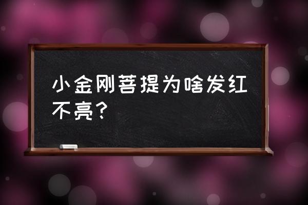 小金刚菩提子快速盘红 小金刚菩提为啥发红不亮？