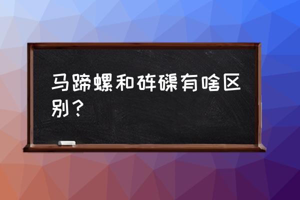 砗磲真的有神奇功效吗 马蹄螺和砗磲有啥区别？