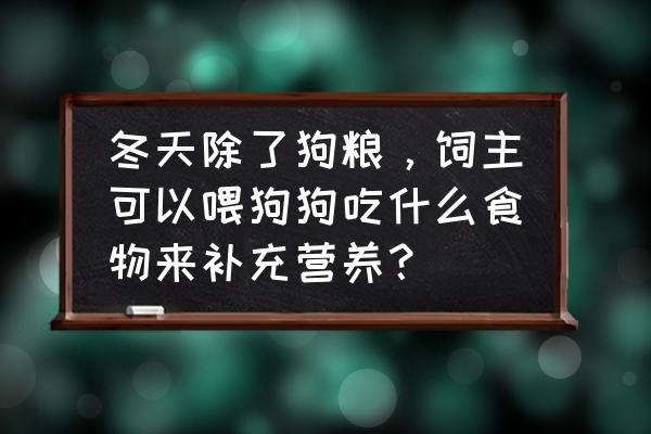 怎么保证狗狗健康 冬天除了狗粮，饲主可以喂狗狗吃什么食物来补充营养？