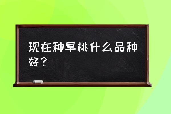 100种早熟桃树苗 现在种早桃什么品种好？