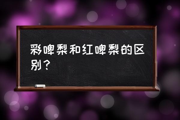 红酒烩啤梨的家常做法 彩啤梨和红啤梨的区别？