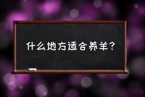 麻城黑山羊养殖场联系方式 什么地方适合养羊？