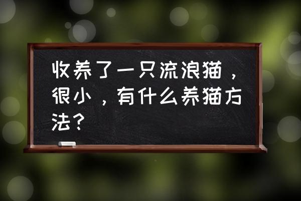 无铝箔的保温棉怎么安装不掉毛 收养了一只流浪猫，很小，有什么养猫方法？