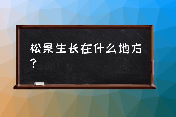 如何判断松果有没有种子 松果生长在什么地方？