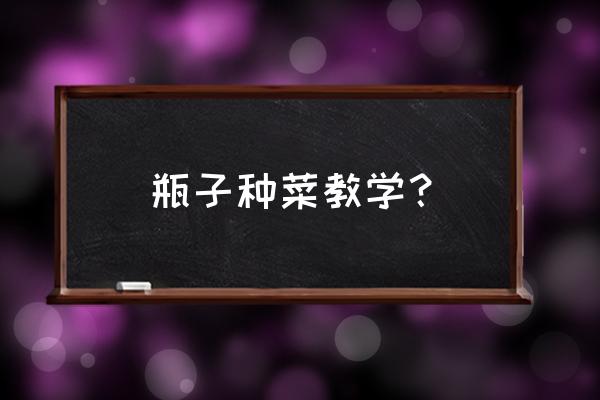 最简单的家庭小菜园 瓶子种菜教学？