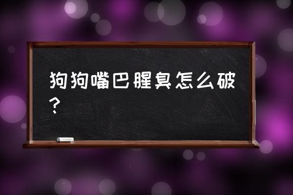 长期闻狗有腥臭味该怎么办 狗狗嘴巴腥臭怎么破？