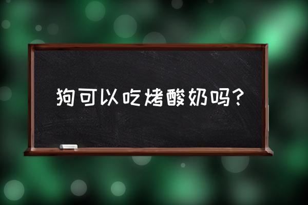 高加索犬主要吃什么 狗可以吃烤酸奶吗？