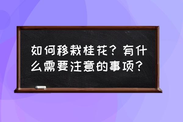 移栽树木的方法和技巧 如何移栽桂花？有什么需要注意的事项？