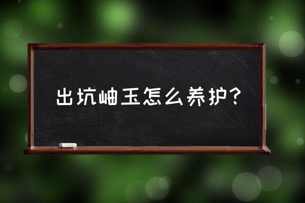 岫玉里面哪几种不跑水 出坑岫玉怎么养护?