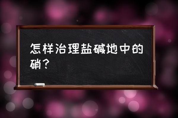 盐碱地土壤改良剂配方 怎样治理盐碱地中的硝？