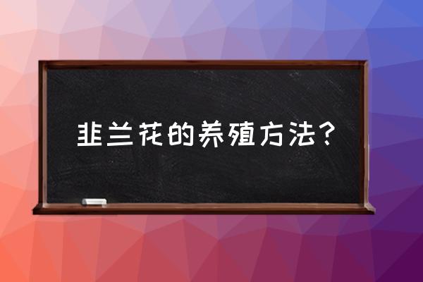 韭菜养殖方法和注意事项有哪些 韭兰花的养殖方法？