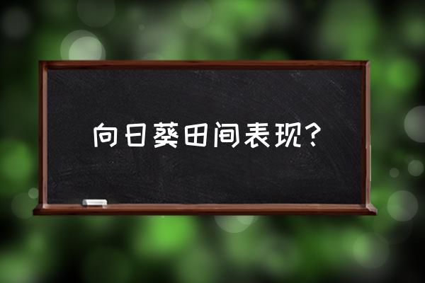 向日葵空壳的原因及预防措施 向日葵田间表现？