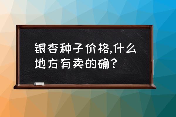 网上怎么挑选银杏种子 银杏种子价格,什么地方有卖的确？