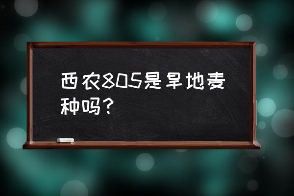 陶瓷注浆坯体没有韧性怎么办 西农805是旱地麦种吗？