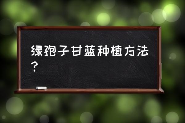 甘蓝的种植方法完整版 绿孢子甘蓝种植方法？