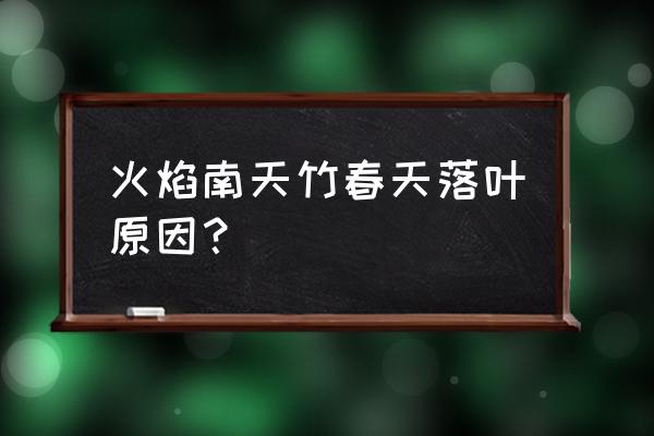 明日之后落叶根茎怎么获得 火焰南天竹春天落叶原因？