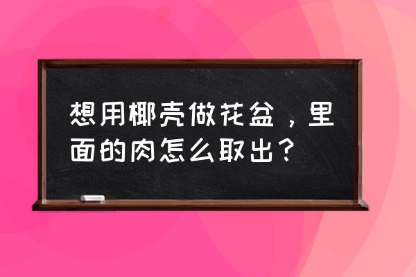 花盆吊绳结怎样打底部不会脱开 想用椰壳做花盆，里面的肉怎么取出？