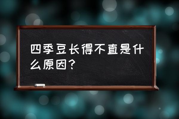 怎样增加四季豆多结果 四季豆长得不直是什么原因？