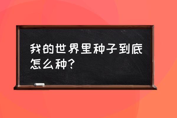 创造与魔法怎么获得干枯的种子 我的世界里种子到底怎么种？