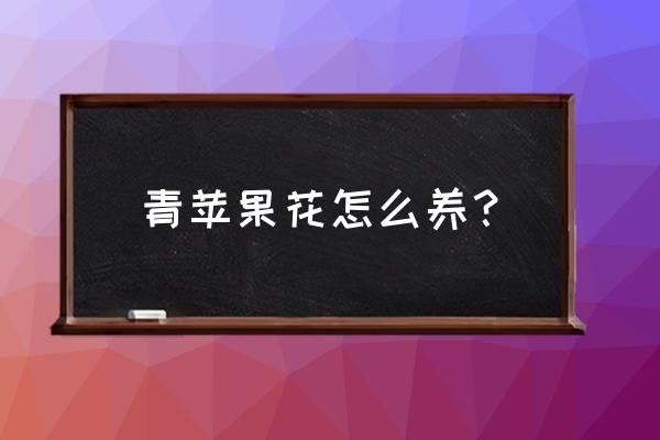 青苹果竹芋爆盆的秘诀 青苹果花怎么养？