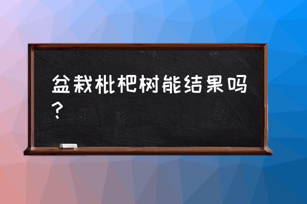 种在盆里的枇杷树怎么才能结果 盆栽枇杷树能结果吗？