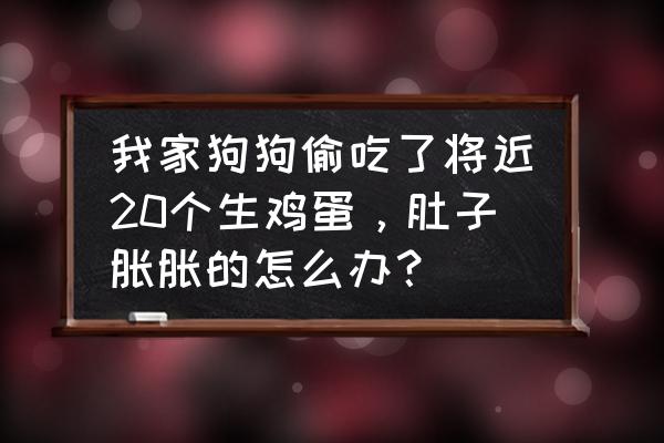 狗狗吃错东西了肚子鼓鼓的怎么办 我家狗狗偷吃了将近20个生鸡蛋，肚子胀胀的怎么办？