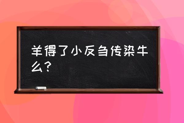 羊瘟病都有什么症状会传染吗 羊得了小反刍传染牛么？