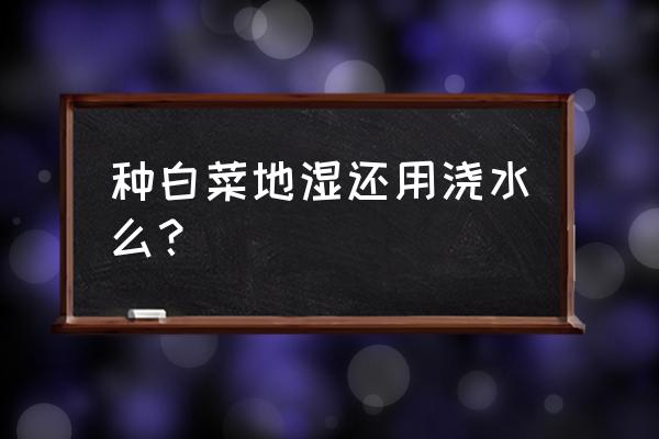 露地大白菜现在还能浇水吗 种白菜地湿还用浇水么？