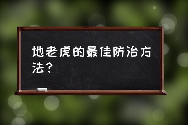 土蚕用什么药来杀灭效果最好 地老虎的最佳防治方法？