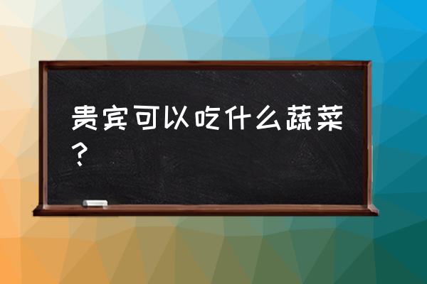 小贵宾犬怎么养吃什么东西 贵宾可以吃什么蔬菜？