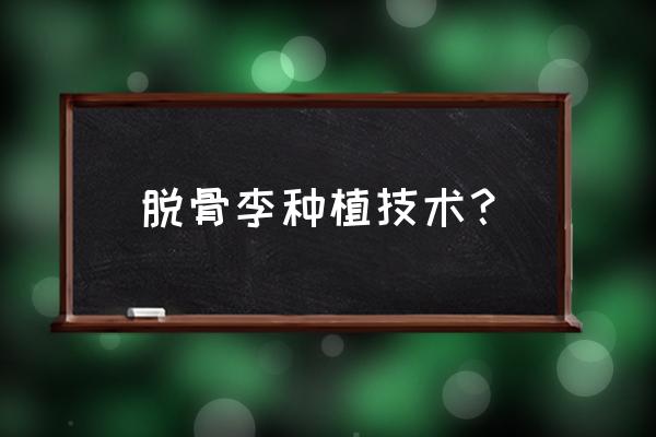 李子的养殖方法和技巧 脱骨李种植技术？